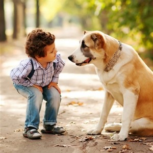 kid and pet 178496846