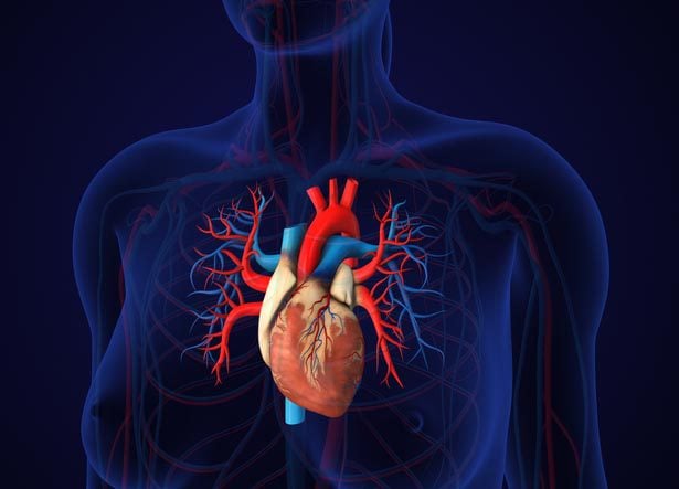 Coronary artery disease Coronary artery